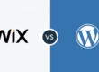 Blue Dot Review Why Not to Use Wix