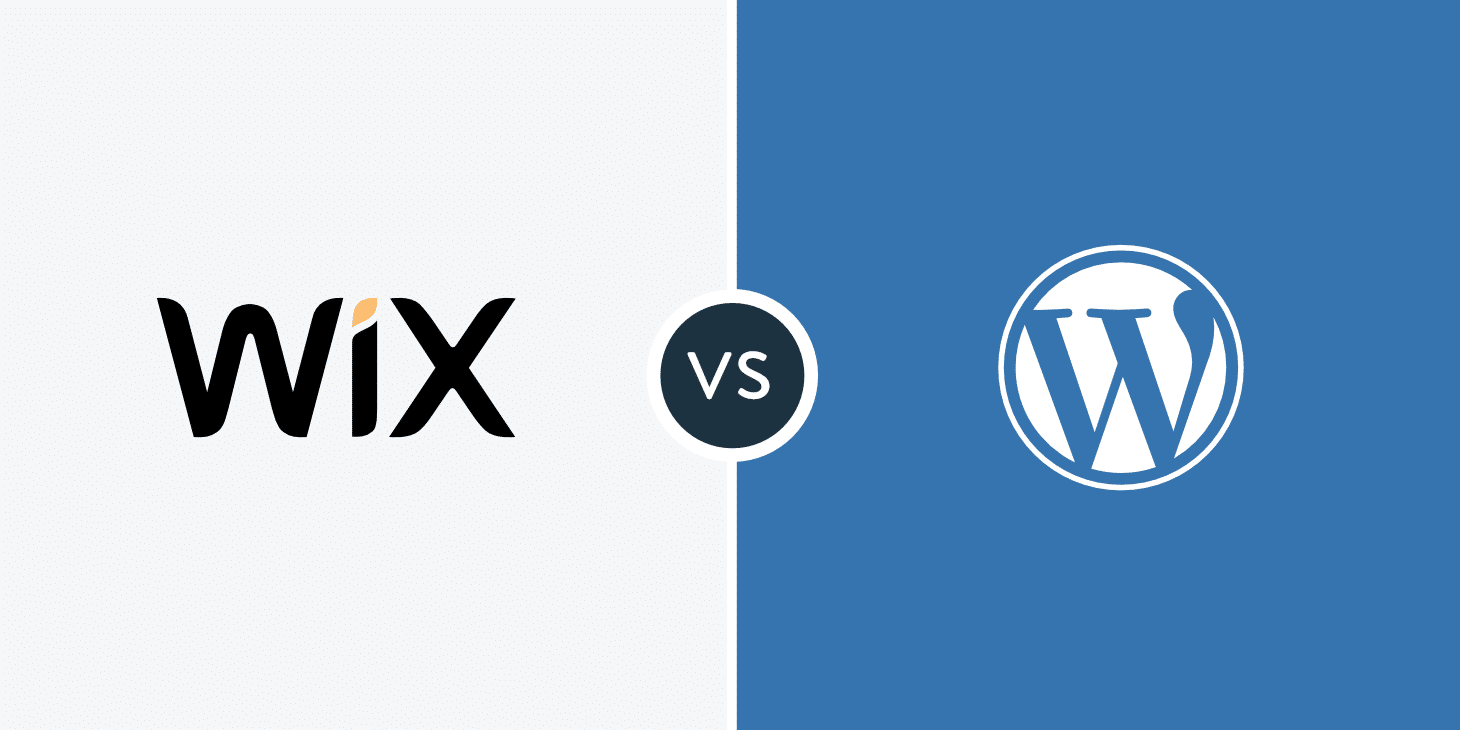 Blue Dot Review Why Not to Use Wix